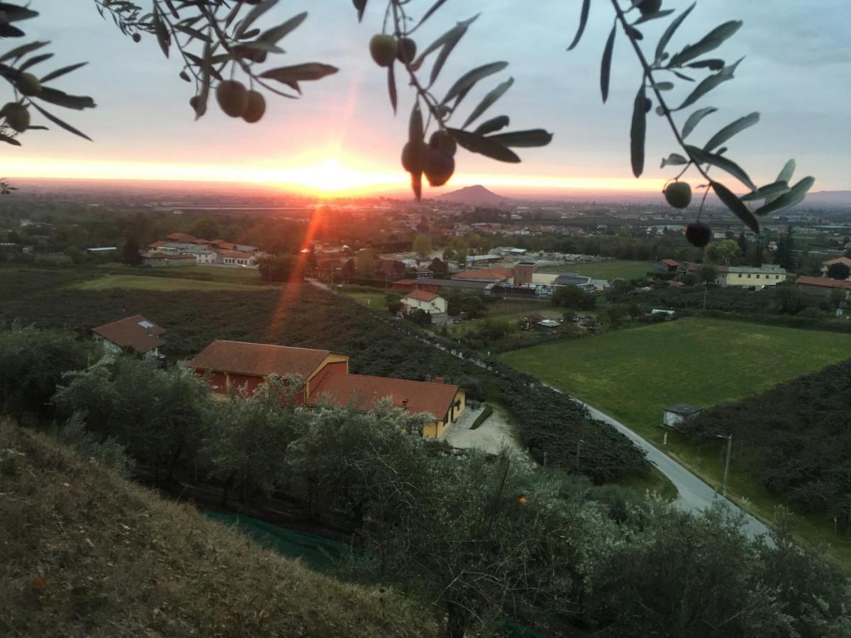 Agrialpi By Salfrutta Bed & Breakfast Bricherasio Exterior photo