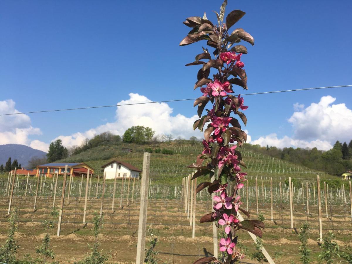 Agrialpi By Salfrutta Bed & Breakfast Bricherasio Exterior photo