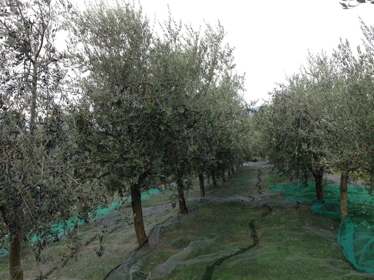 Agrialpi By Salfrutta Bed & Breakfast Bricherasio Exterior photo